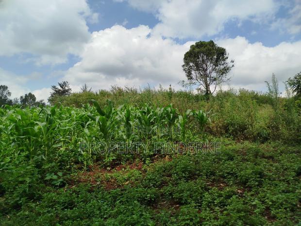 Exclusive Land for Sale in Karen