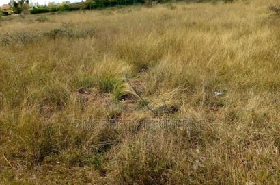 1\4 Acre Land for Sale