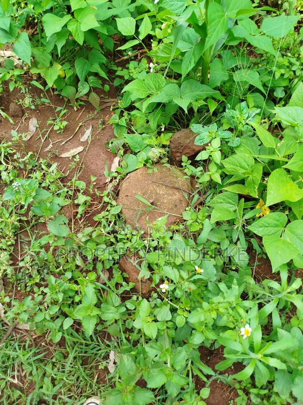Exclusive Land for Sale in Karen