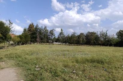 1/4 Acre Plot for Sale in Acacia Estate, Kitengela