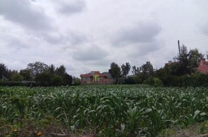 1/4 Acre Land for Sale in Kitengela