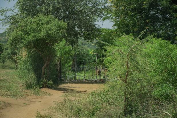 Residential Prime Plots For Sale Malindi