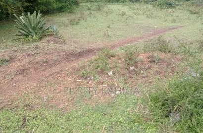 Prime Plots in Sofia Machakos