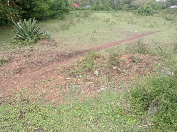 Prime Plots in Sofia Machakos