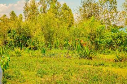 Residential Prime Plots For Sale Malindi