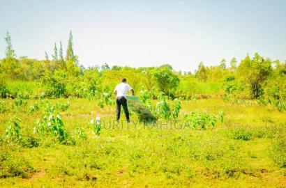 Commercial Prime Plots for Sale Kisumu