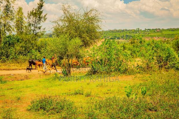 Affordable Prime Plots in Kisumu