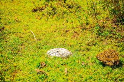 Affordable Prime Plots in Kisumu