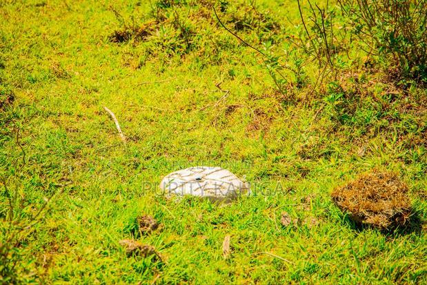 Affordable Prime Plots in Kisumu
