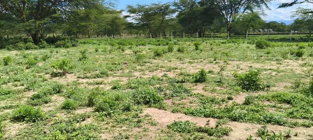 Nakuru Prime Plots for Sale