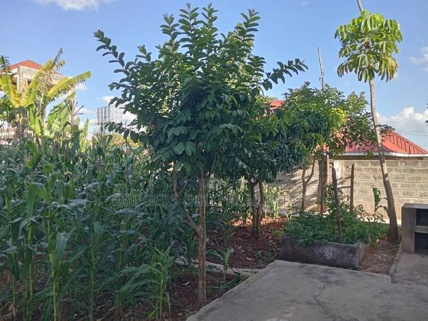 4bdrm Villa in Katani for sale