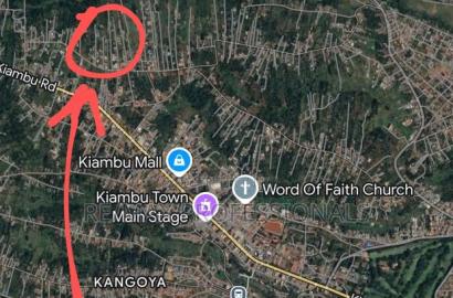 40 by 100 Plot in Kihingo Kiambu Town
