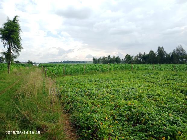 Plots on Sale
