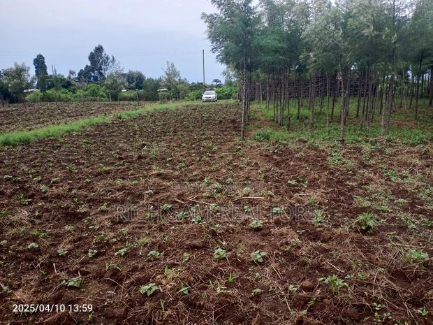 Plot on Sale