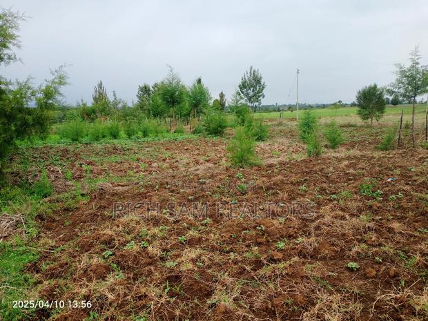 Plot on Sale