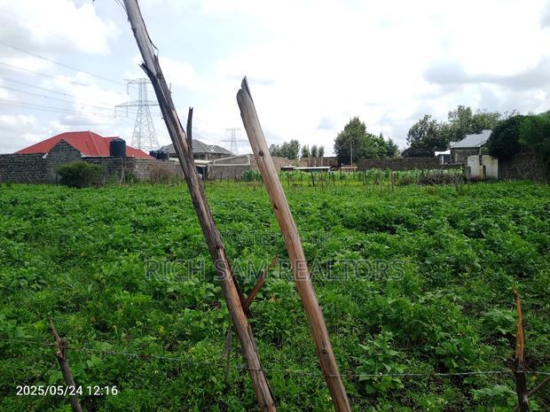 Plot for Sale