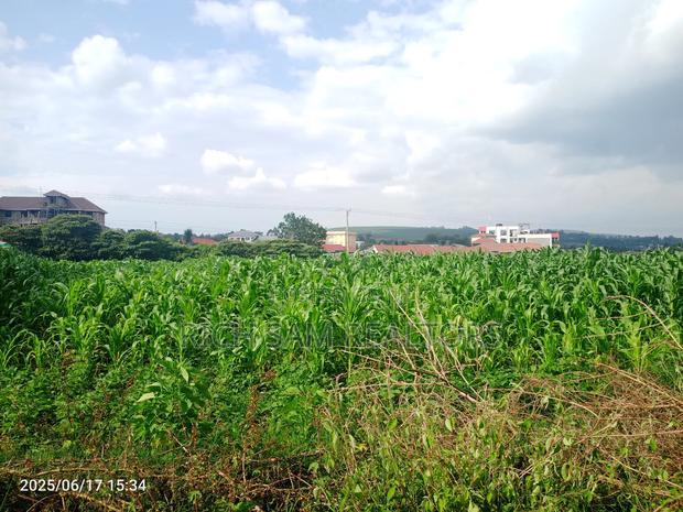 1/2 Acre on Sale Kiamunyi