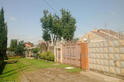 50/100 Plot on Sale Kiamunyi Olivin Centre