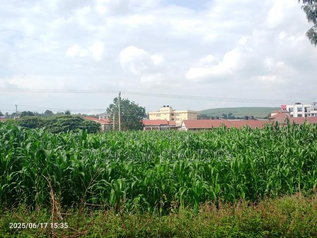 1/2 Acre on Sale Kiamunyi