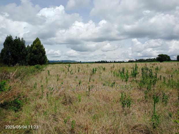 Land on Sale