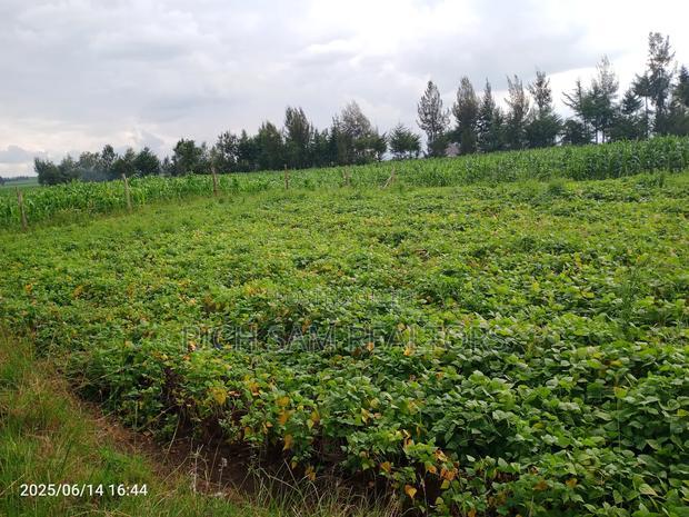 Plots on Sale