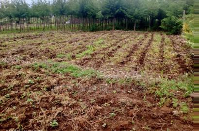 Plot on Sale
