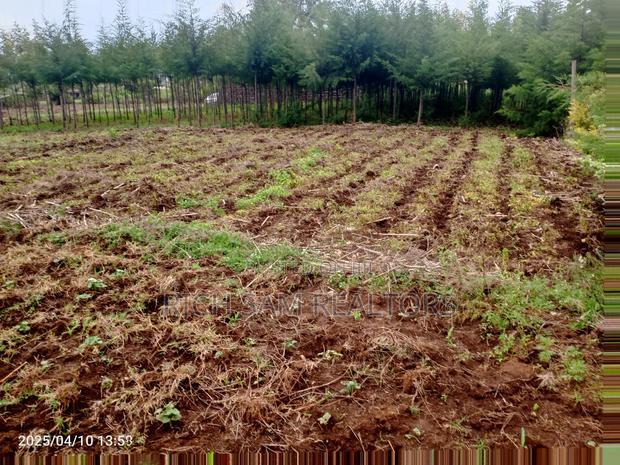 Plot on Sale