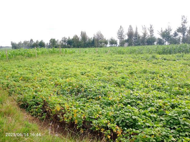 Plots on Sale