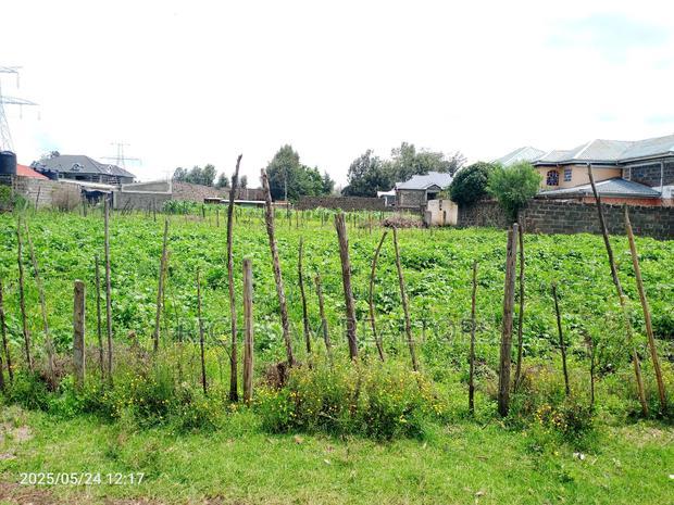 Plot for Sale