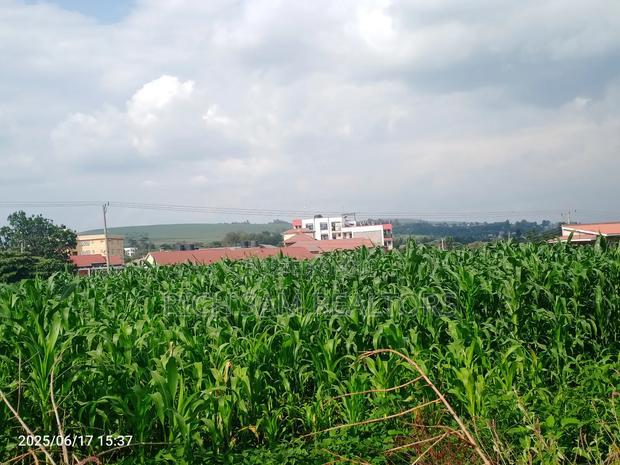 1/2 Acre on Sale Kiamunyi