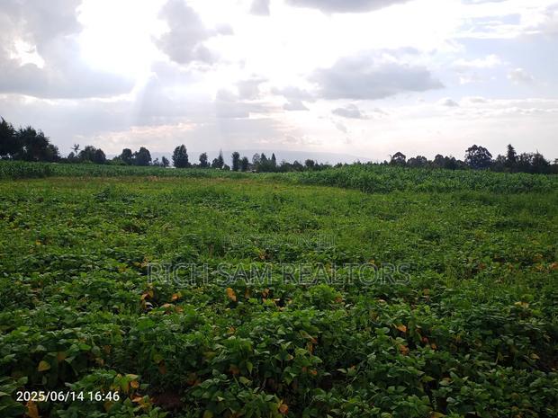 Plots on Sale