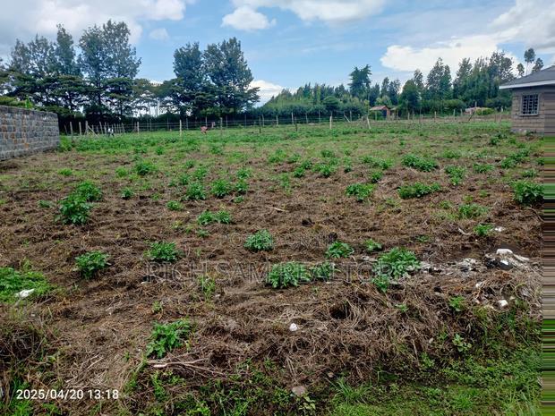 Land on Sale