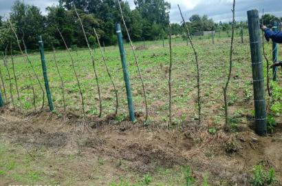 Land on Sale