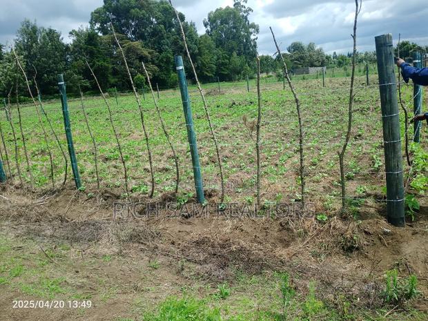 Land on Sale