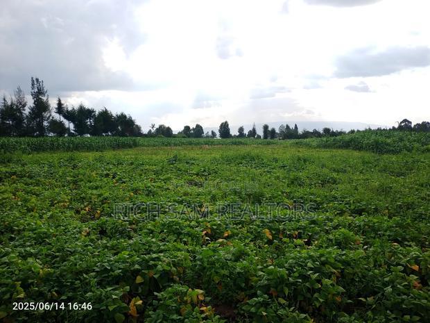 Plots on Sale