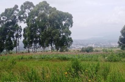Plot on Sale Olivin Mololine