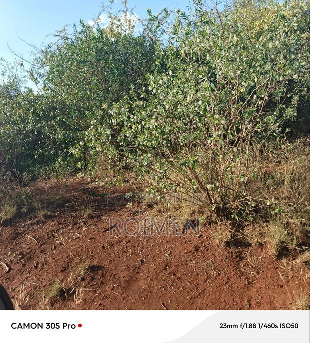 13 Ekali Entarara Kwa 500,000 Kila Eka