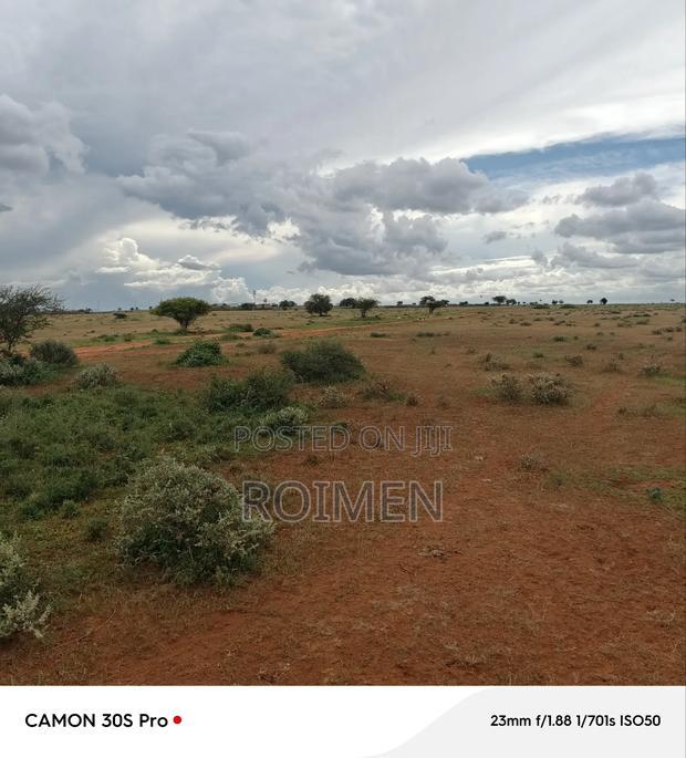 Ekali 5 Kilomita Mbili Kutoka Lami.
