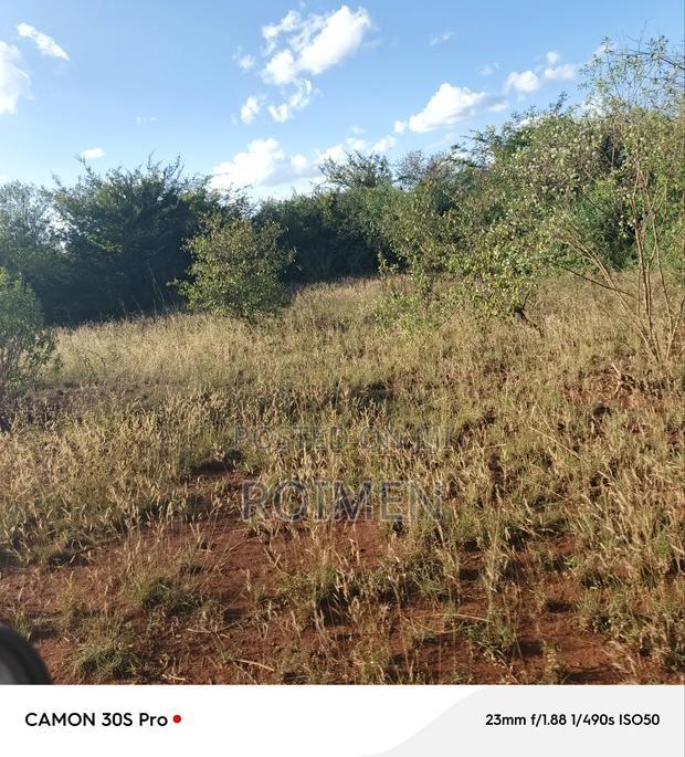 13 Ekali Entarara Kwa 500,000 Kila Eka