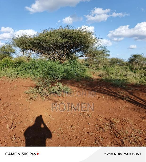13 Ekali Entarara Kwa 500,000 Kila Eka