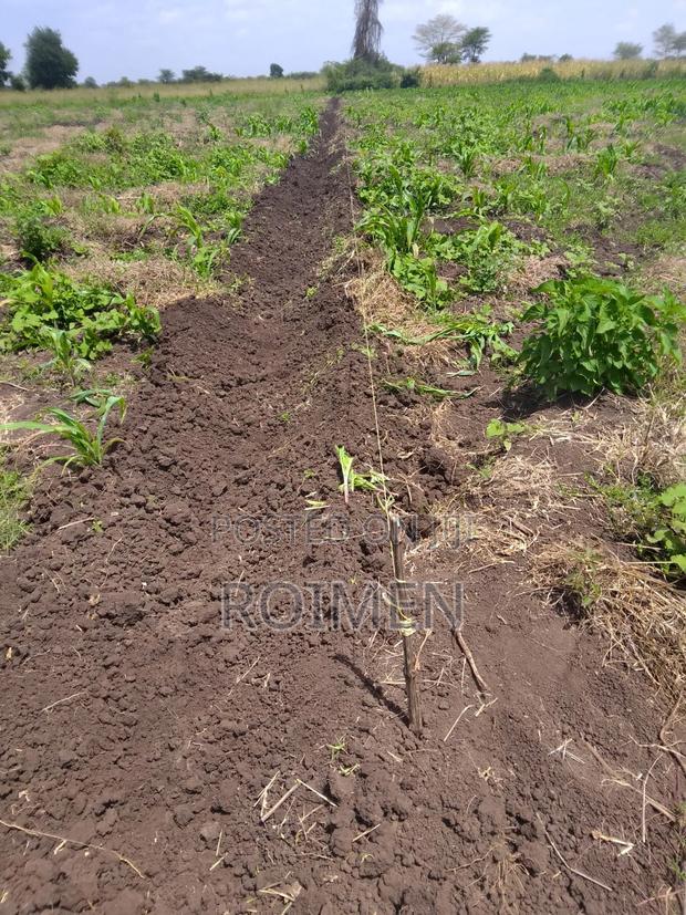 2 Acres With a Borehole.