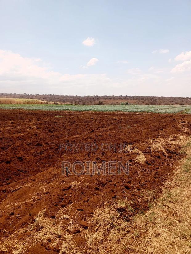 6 Acres,5 Km From the Tarmac