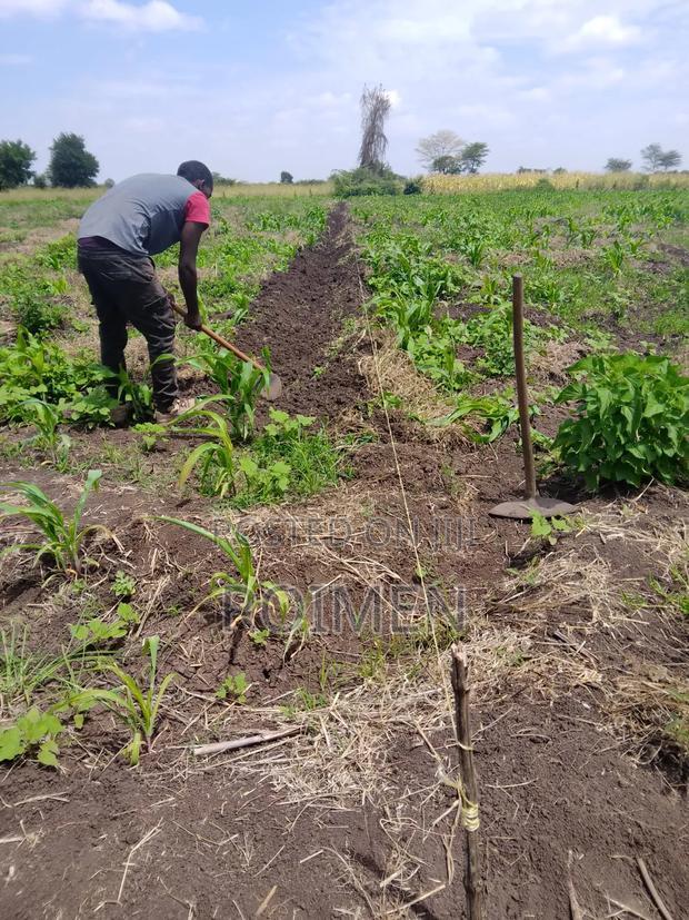 2 Acres With a Borehole.