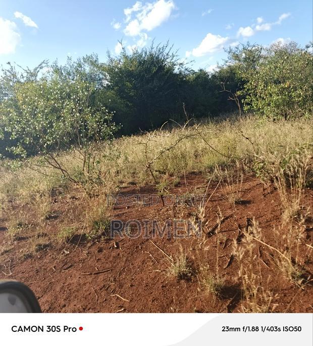 13 Ekali Entarara Kwa 500,000 Kila Eka