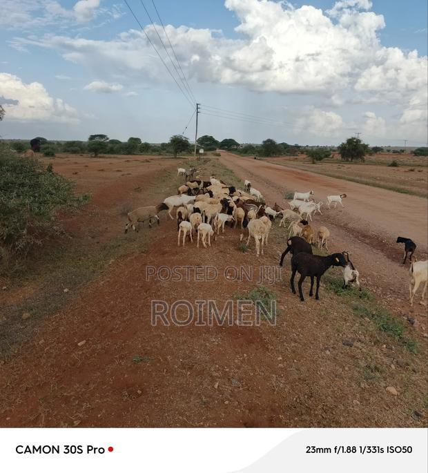 21 Acres of Land in Risa Area.
