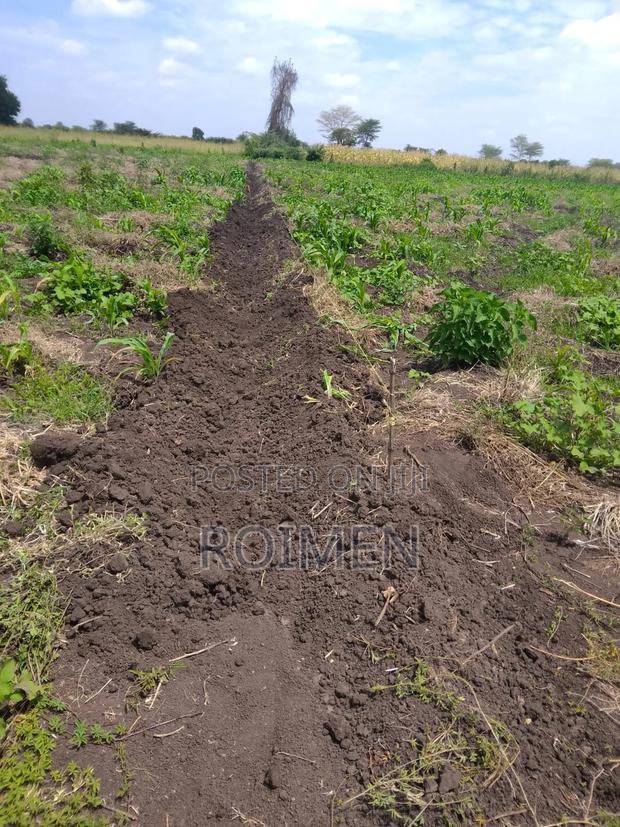 2 Acres With a Borehole.