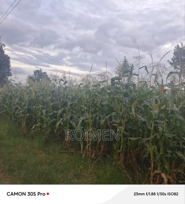 20 Acres Loitoktok Entonet Area.