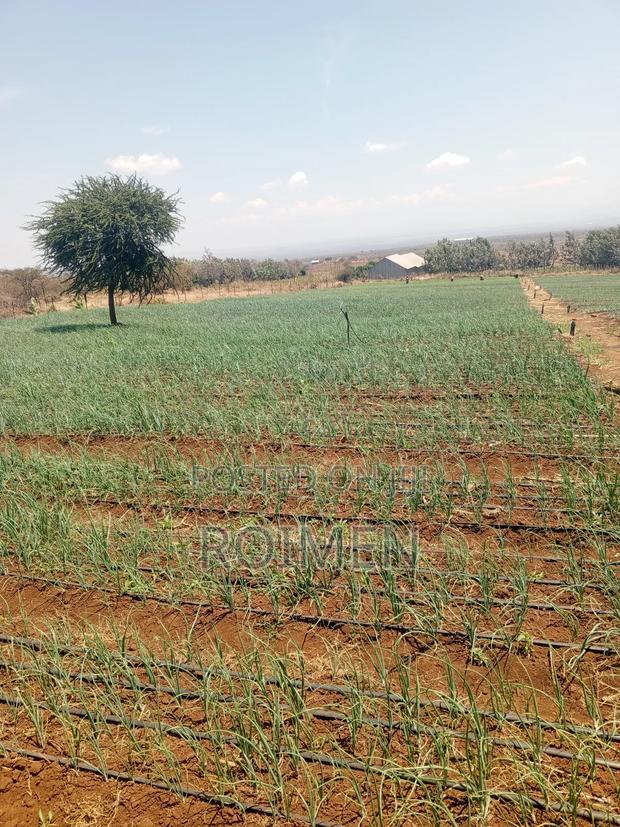 6 Acres,5 Km From the Tarmac