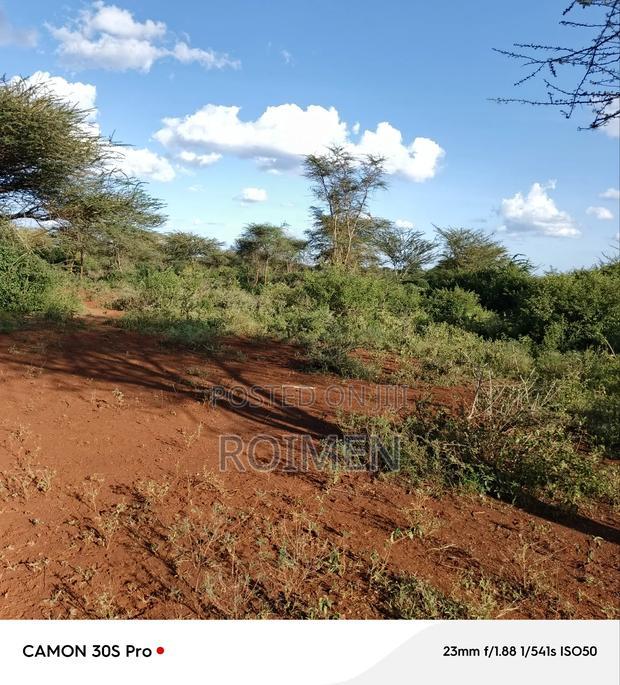 13 Ekali Entarara Kwa 500,000 Kila Eka