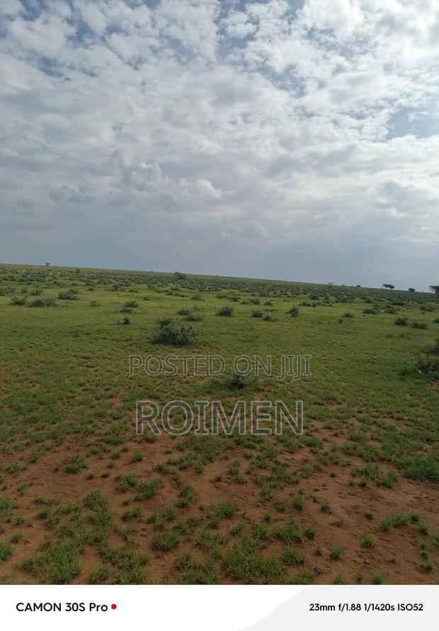 20 Ekali Imbirikani Kwa 450,000 Kwa Eka